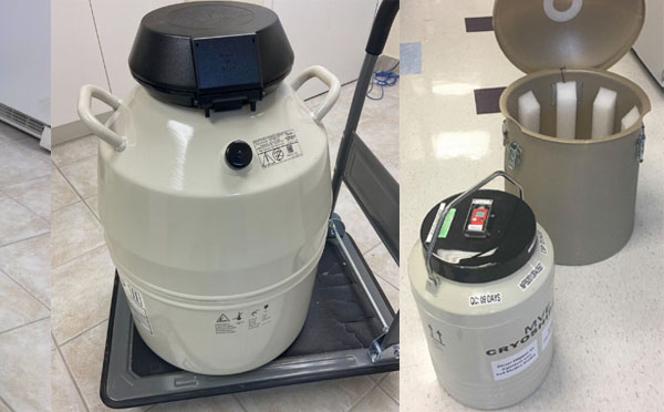 進(jìn)口mve液氮罐 進(jìn)口mve液氮罐